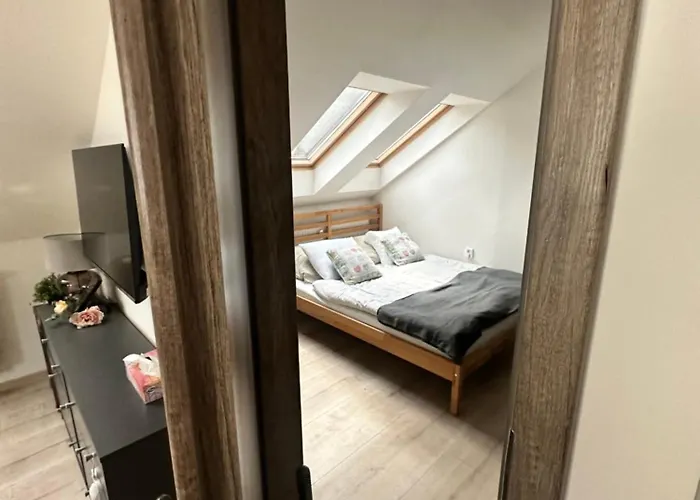 Lägenhet Number 5 Vlevo Dole